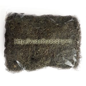 bạch hoa xà thiệt thảo khô bạch hoa xà thiệt thảo 1