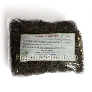 bạch hoa xà thiệt thảo bạch hoa xà thiệt thảo