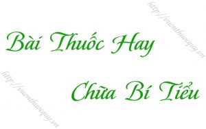 bai-thuoc-hay-chua-bi-tieu