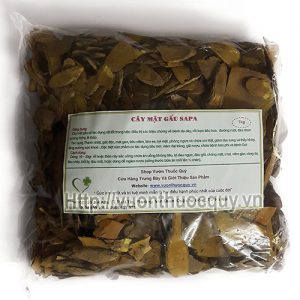 cây mật gấu sapa cây mật gấu sapa