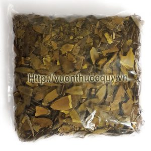 cây mật gấu sapa khô cây mật gấu sapa khô