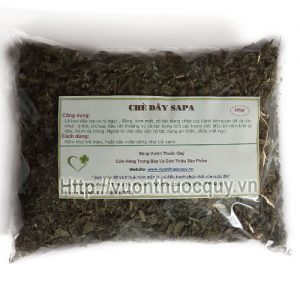 chè dây sapa chè dây sapa