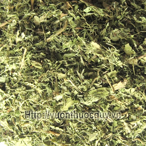 cỏ ngọt khô cỏ ngọt khô