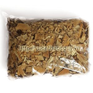 rễ nhàu khô rễ nhàu 1