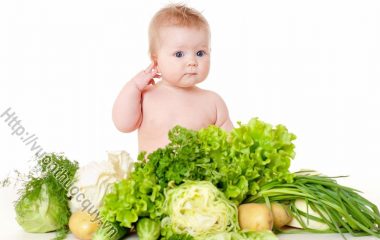 Cho trẻ ăn dặm là phương pháp bổ sung thêm nguồn dinh dưỡng bên ngoài giúp bé phát triển tốt. Nhưng cho trẻ ăn dặm không phải là chuyện đơn giản...