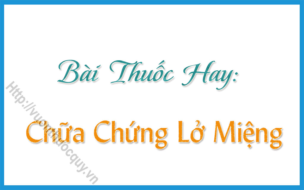 bài thuốc hay chữa chứng lở miệng