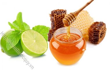 Cách Ngâm Rượu Mật Ong Thơm Ngon; Mật ong vốn được mọi người yêu thích vì hương vị ngọt tự nhiên và có nhiều tác dụng bồi bổ sức khoẻ rất tốt...