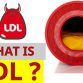 Khi xét nghiệm mỡ máu, bạn sẽ gặp các chỉ số như Cholesterol toàn phần, LDL Cholesterol, HDL Cholesterol và Triglyceride. Trong đó, LDL cholesterol được coi là một trong những chỉ số quan trọng cần theo dõi khi điều trị. Và LDL cholesterol...