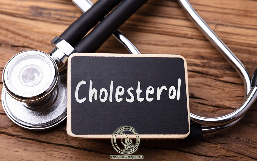 Nguy Cơ Cholesterol Cao Ở Phụ Nữ