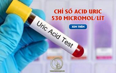 Acid uric là một sản phẩm chuyển hóa các chất đạm có nhân purin. Chất này thường được tìm thấy nhiều trong các thực phẩm như phủ tạng động vật, cá biển, các loại thịt có màu đỏ hoặc đồ uống như bia, rượu...